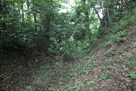 森寺城 - 01