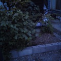 Photos: NEC_0709