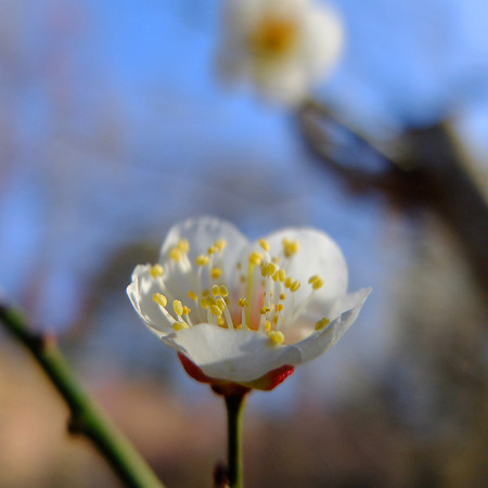 DSCF6933