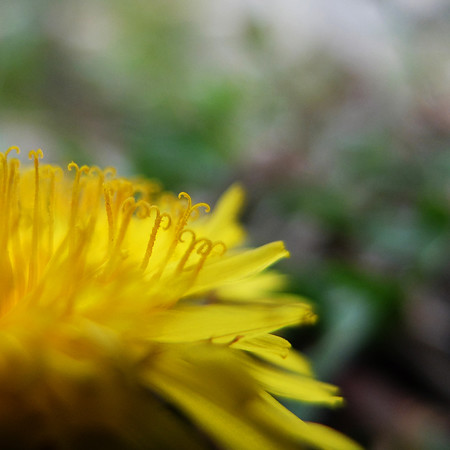 DSCF9007