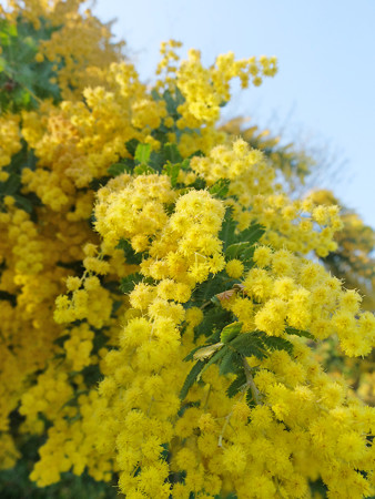 DSCF9624