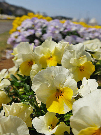 DSCF0070