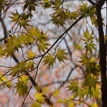 DSCF0576