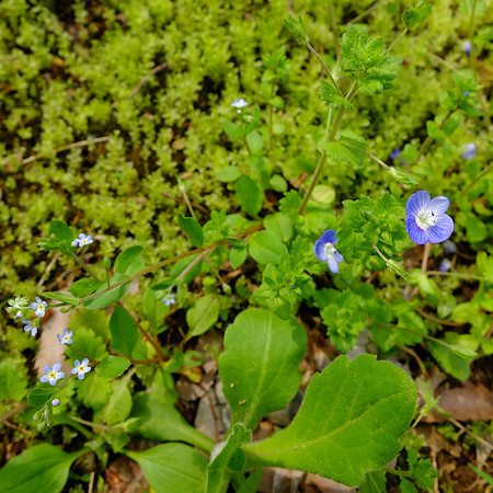 05