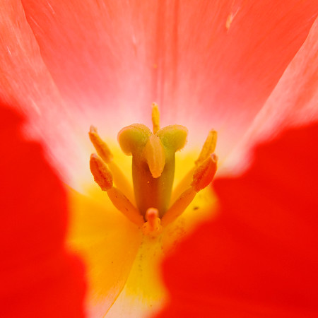 DSCF2163