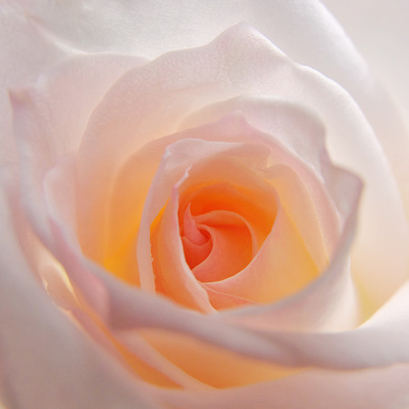 DSCF3758