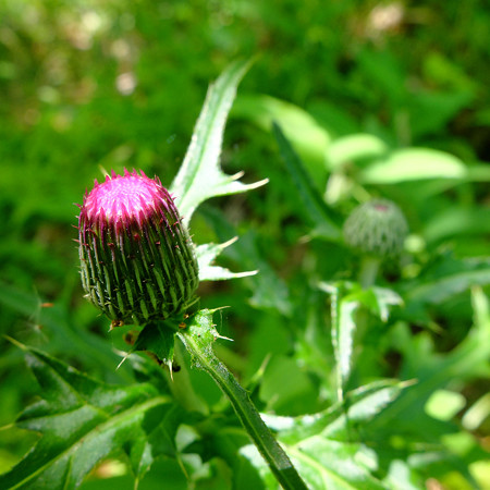 DSCF3539