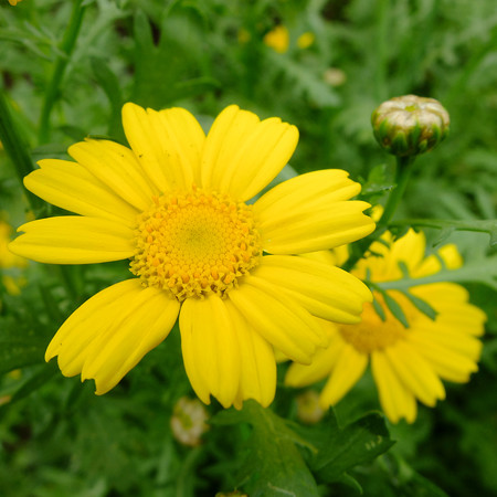 DSCF4745