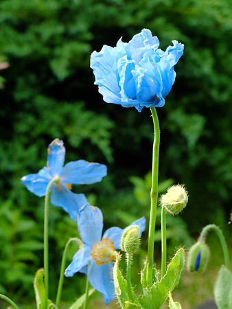 DSCF5476