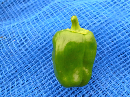R0020342