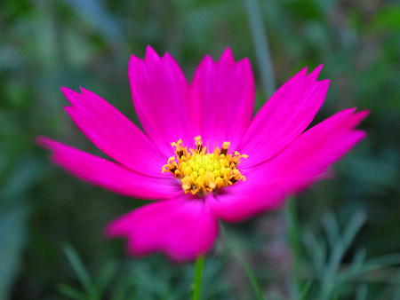 R0021331