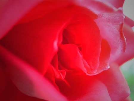 R0022118
