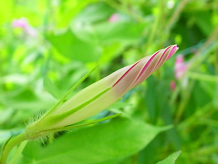 R0022121