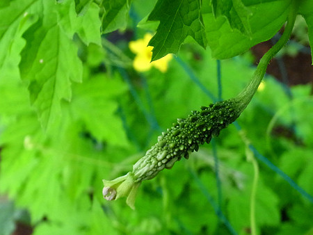 R0022067