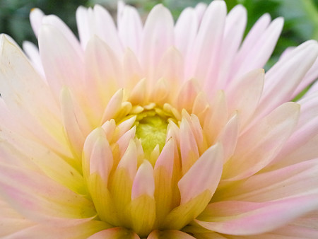 R0022553