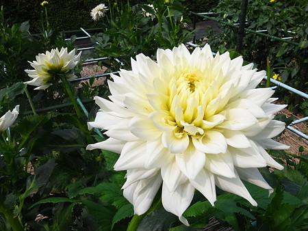 R0022390