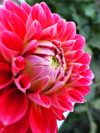 R0022631
