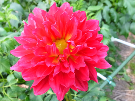 R0022593