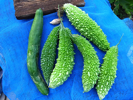 R0024607