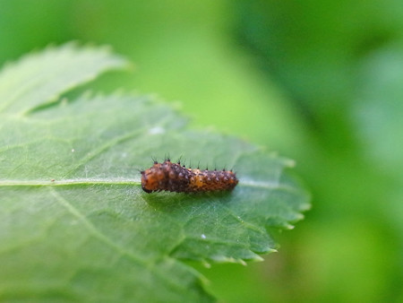 R0025822