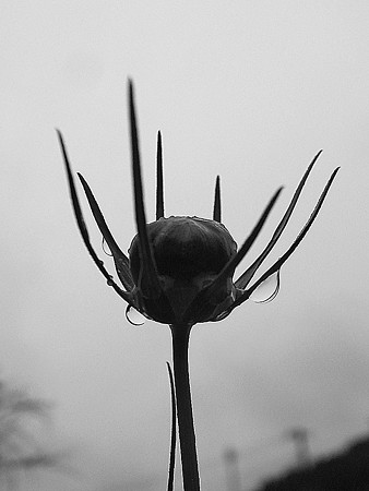 R0027084
