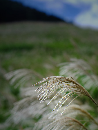 DSCF0513
