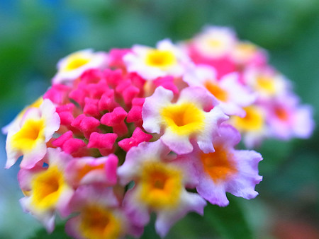 R0027658