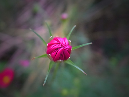 R0027628