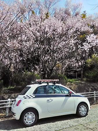 P_20170406_120219_HDR
