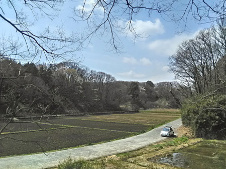 P_20170406_104537_HDR