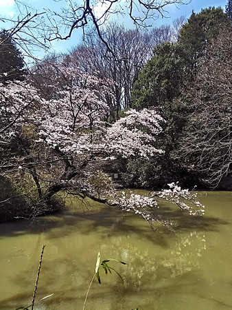 P_20170406_110743_HDR