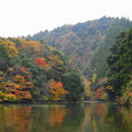 Photos: rs-161127_21_亀山湖の紅葉・SH(亀山湖クルーズ) (32)