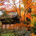 rs-161202_71_旧天瑞寺寿覆堂辺りの紅葉・SH(三渓園) (6)