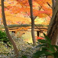 rs-161205_51_山陰橋方面の紅葉・SH(六義園) (7)