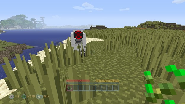 Minecraft_ PlayStation®4 Edition_20150325172911