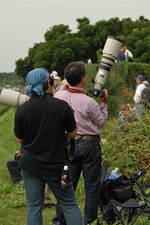 P_10056