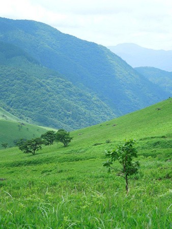 DSCN2847