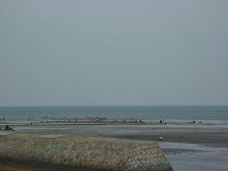 P1020918