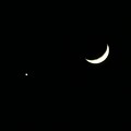 Photos: 金星と月が並んで