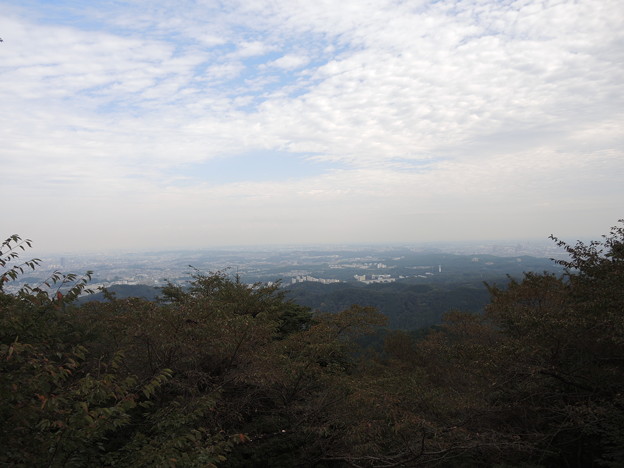 DSCN0659