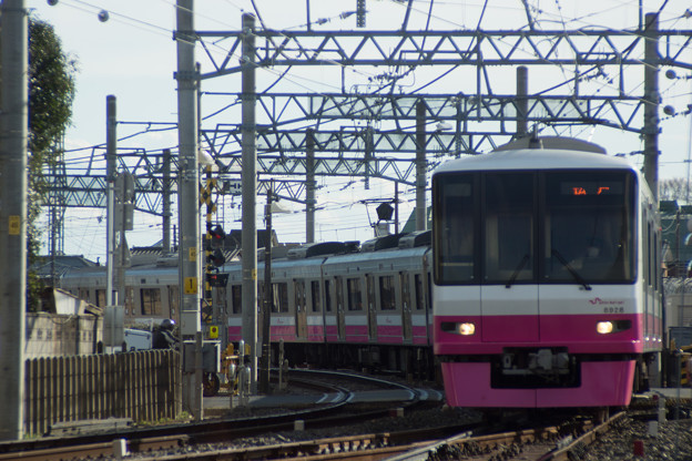 DSC01952