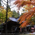 秋色の神社