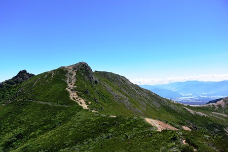 DSC_9901-1