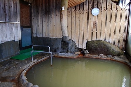 湯は緑がかっている