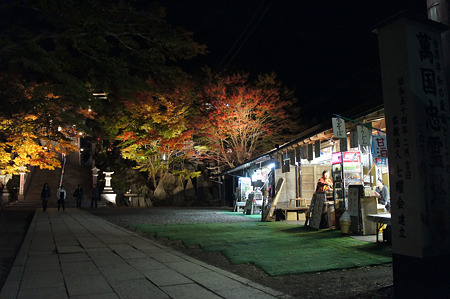阿夫利神社下社の紅葉ライトアップ