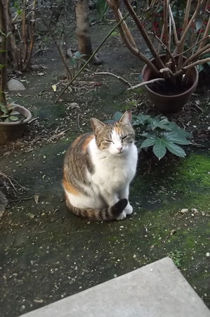 ミケママ0307