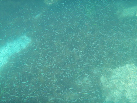 P8140006