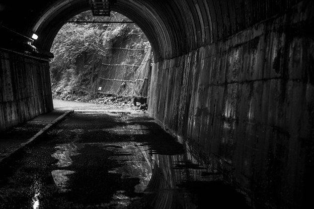 _MG_4746_R