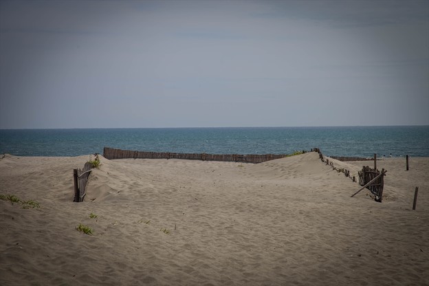 _MG_6710_R