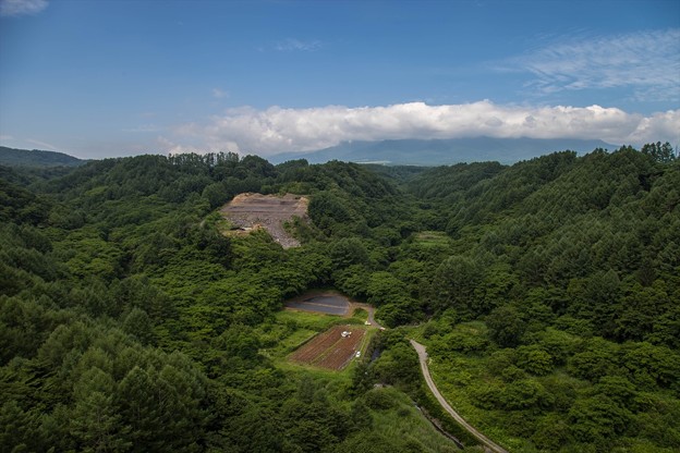 _MG_6875_R